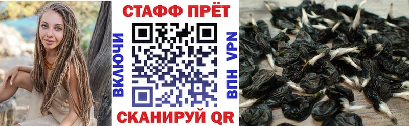 Наркошоп купить APVP  Кокаин  ГАШ  Меф  МАРИХУАНА  Дорогобуж