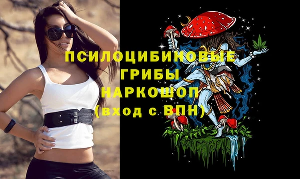 герыч Зеленодольск