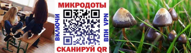 Купить где  Дорогобуж  Псилоцибиновые грибы мицелий 